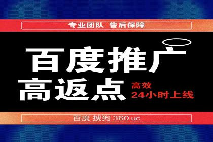 百度推广费用的投入与市场占有率提升的关联案例